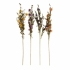 View Veronique Mountain Flowers - Set of 4