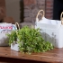 Amelia Magazine Baskets - Set of 4 alternate image
