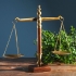 Beth Kushnick Scales of Justice alternate image