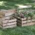 Ainsley Wood Crates - Set of 3 alternate image