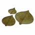 Hoja Decorative Plates - Set of 3  alternate image
