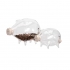 Fridley Glass Piggy Bank - Set of 2  alternate image