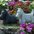 Fetch Dog Statuaries - Ast 2 alternate image